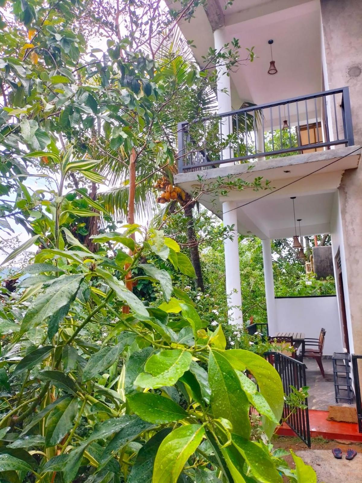 Ella Cloud Castle Homestay Экстерьер фото